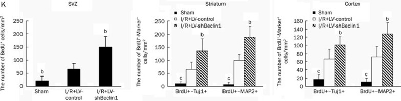 Figure 7K