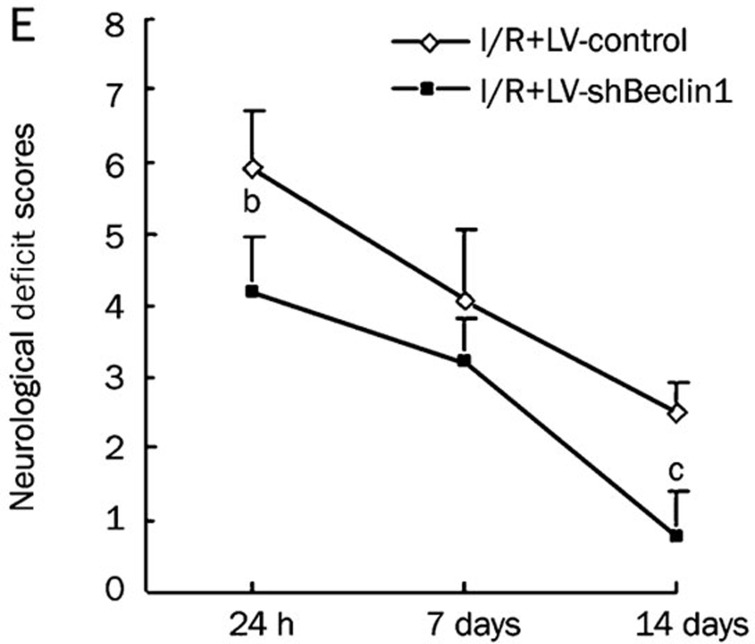 Figure 6E