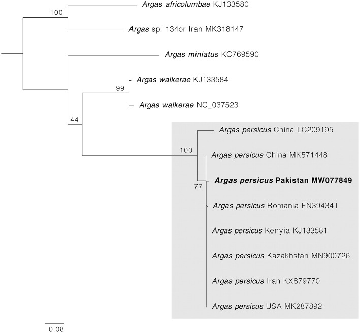 Figure 4