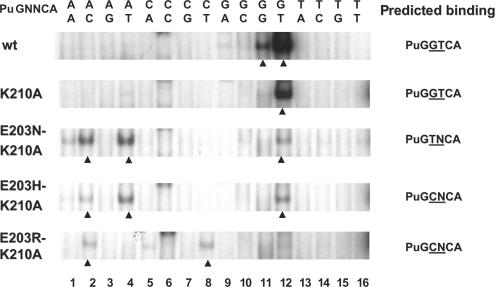 Figure 7.