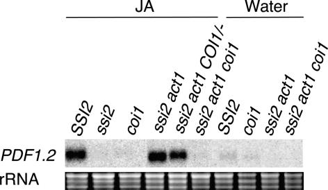 Figure 7.