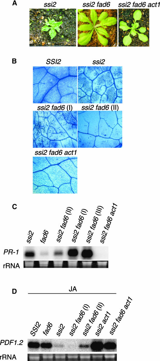 Figure 6.