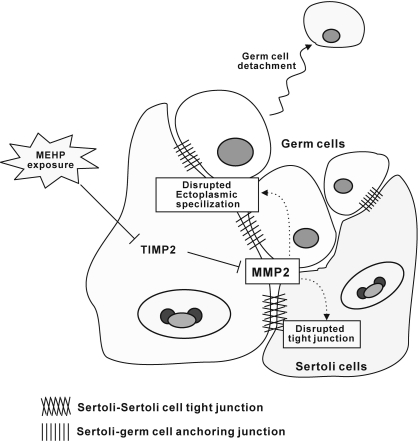 FIG. 9.