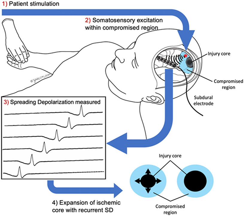 Figure 2: