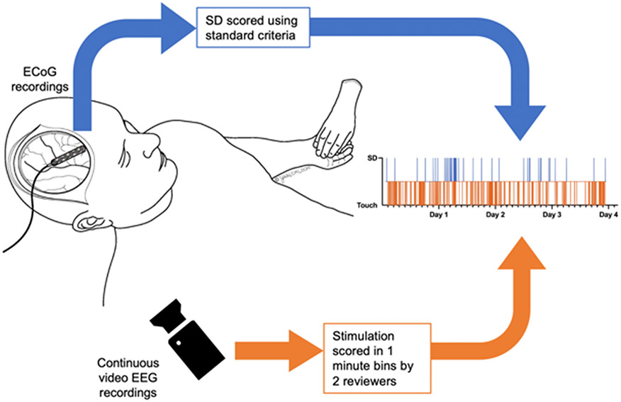 Figure 7: