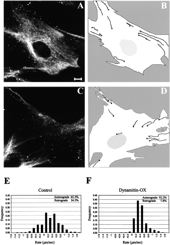 Figure 9.