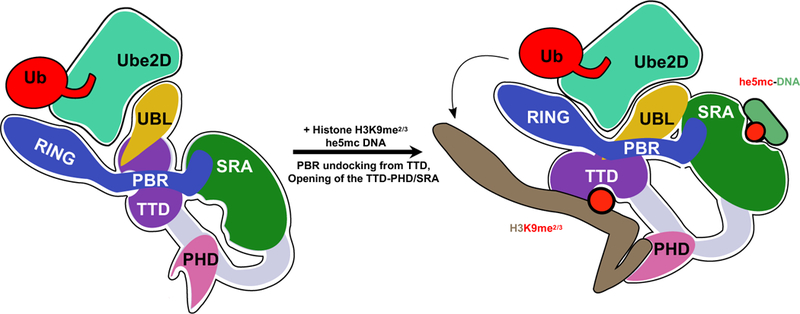 Figure 7 |