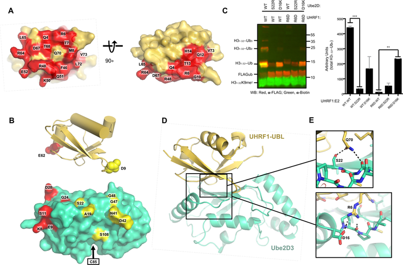 Figure 3 |