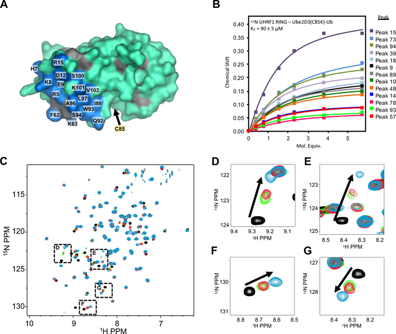 Figure 4 |