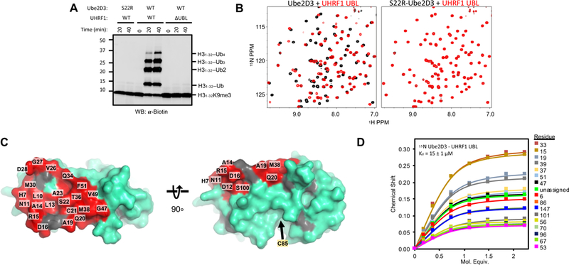 Figure 2 |