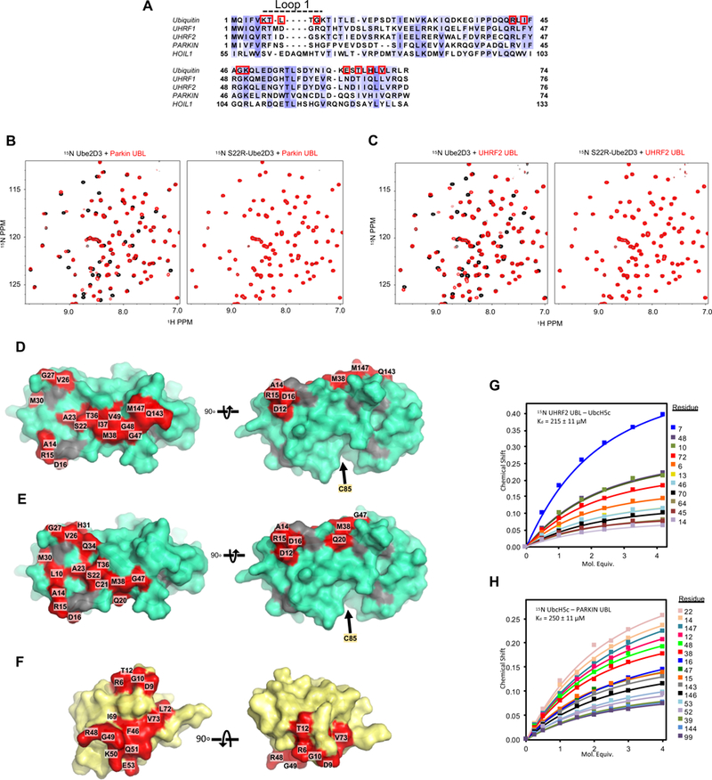 Figure 6 |