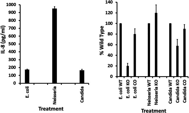 FIG 4