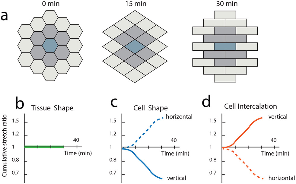 Figure 2: