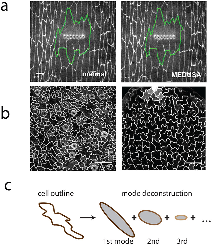 Figure 1: