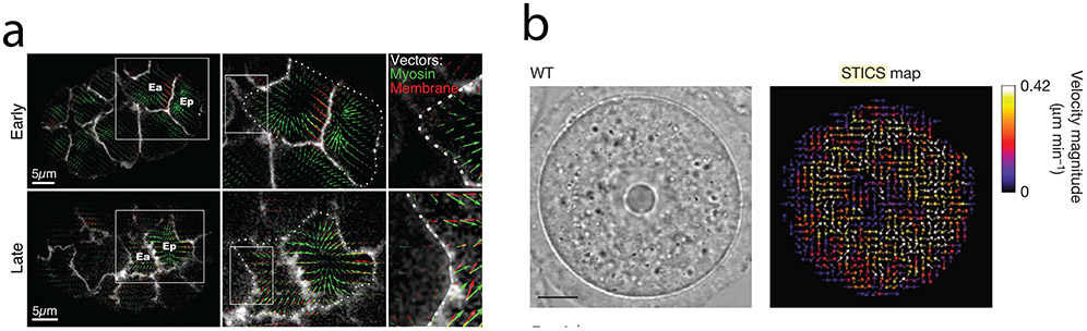 Figure 6: