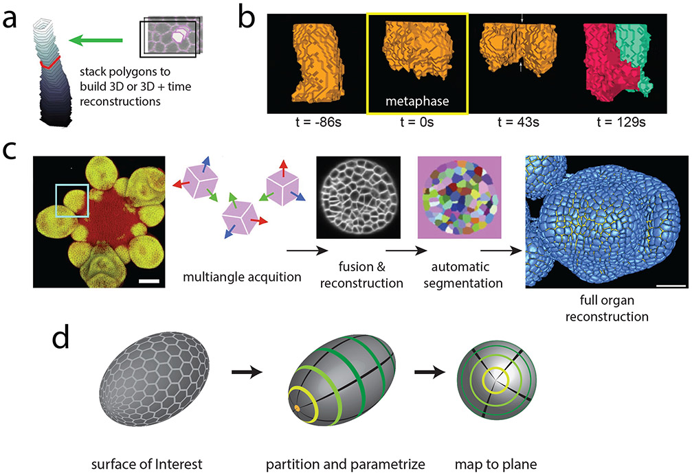 Figure 3: