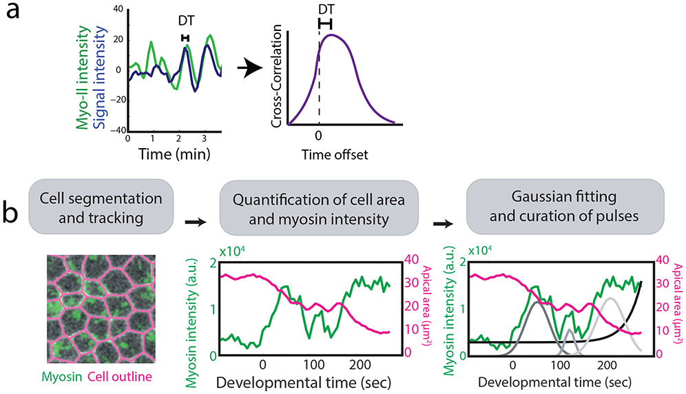 Figure 5: