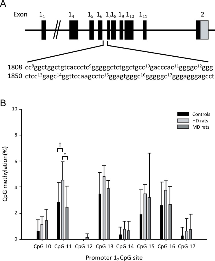 Fig. (4)