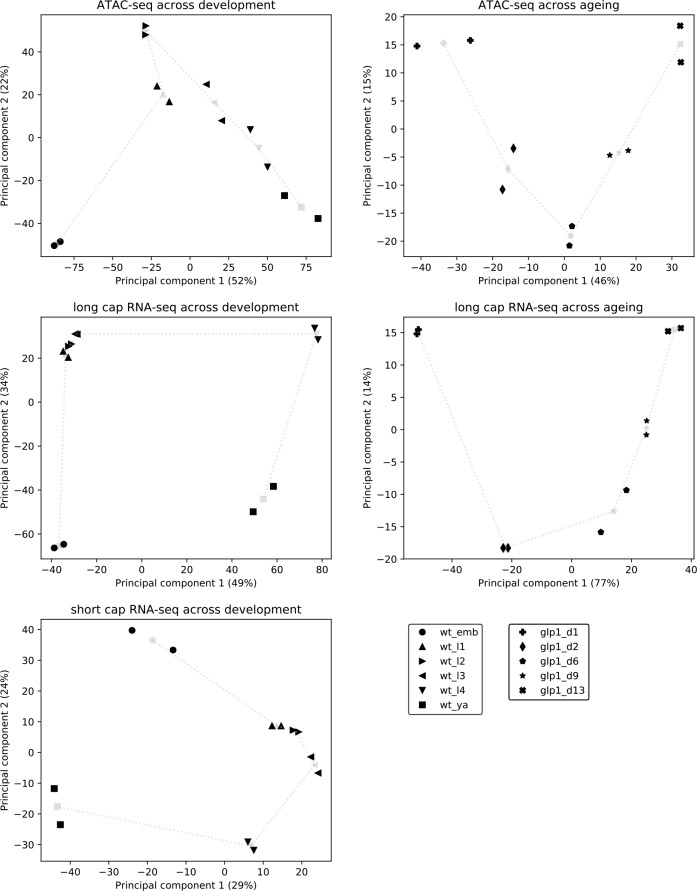 Figure 1—figure supplement 2.