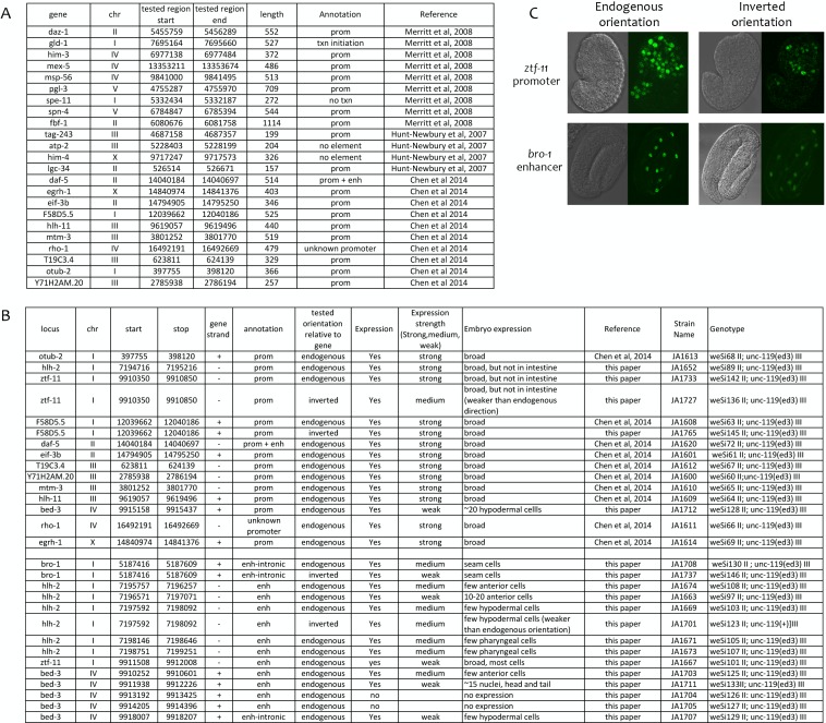 Figure 2—figure supplement 6.