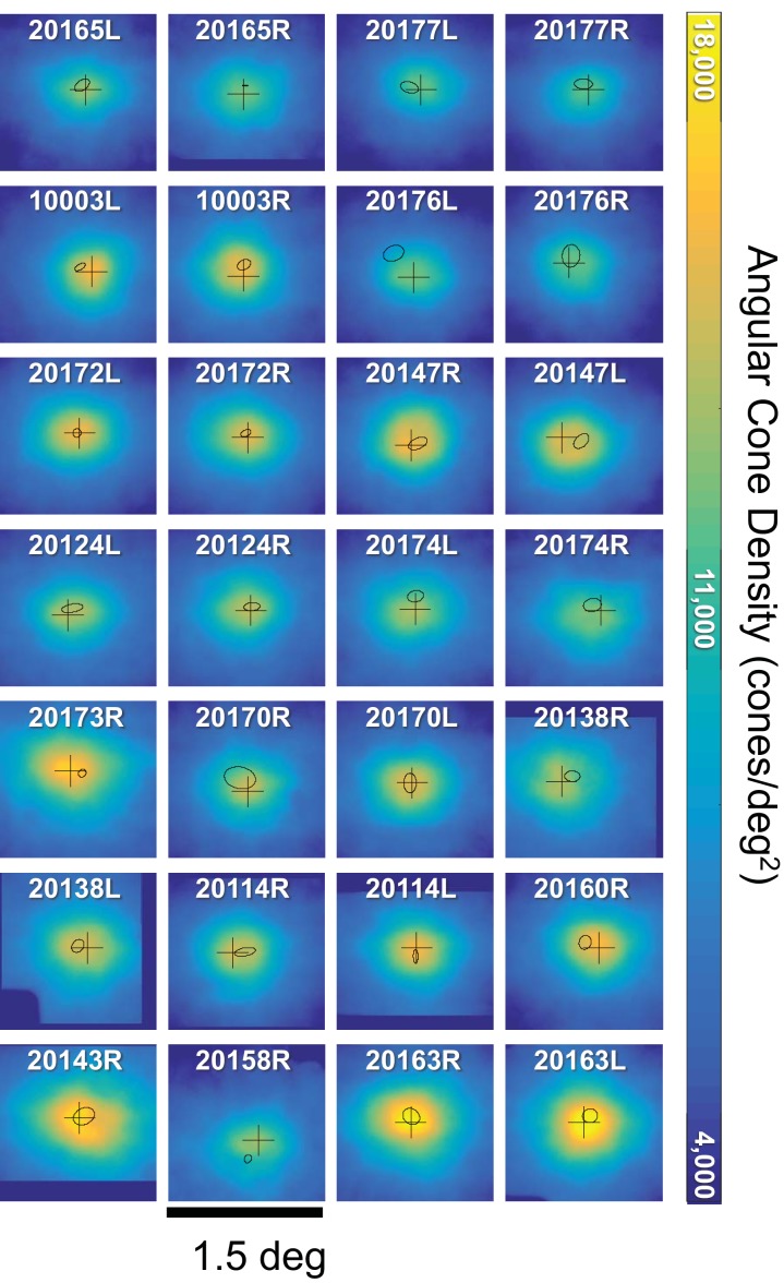 Figure 3—figure supplement 2.