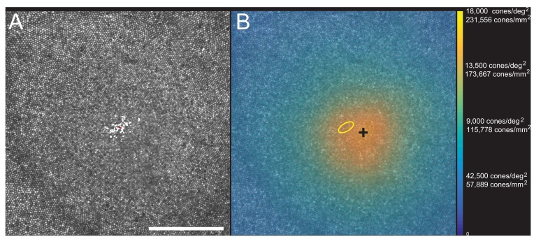 Figure 3.