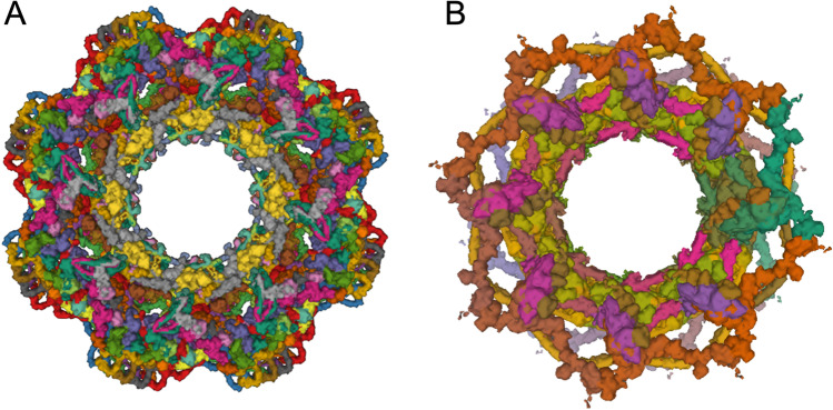 Fig. 6