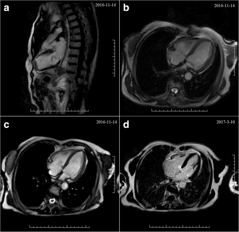 Fig. 3