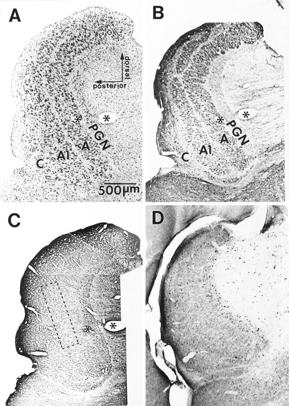 Fig. 13.