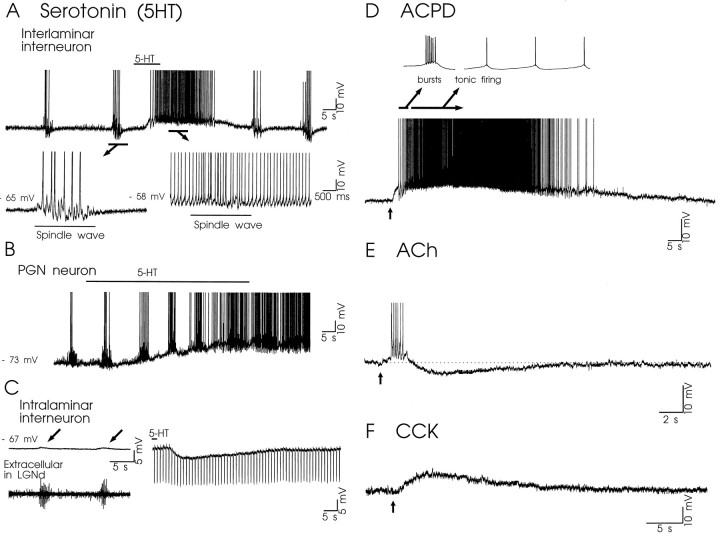 Fig. 9.