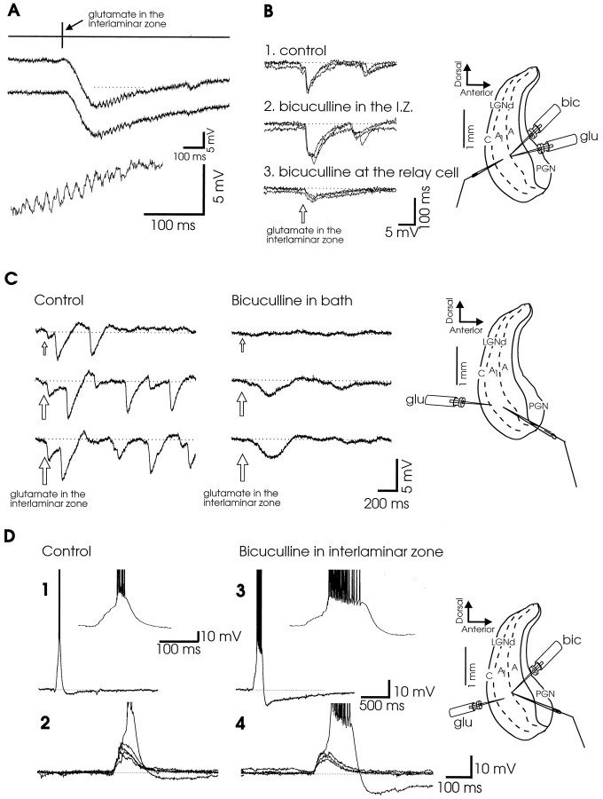 Fig. 8.