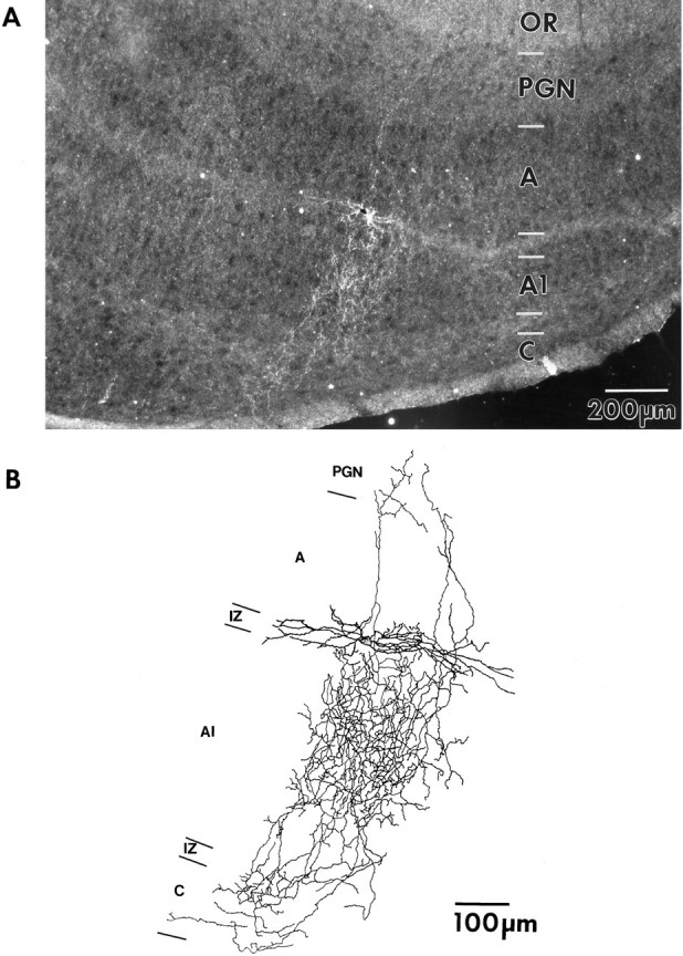 Fig. 10.