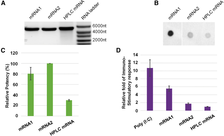 Figure 4