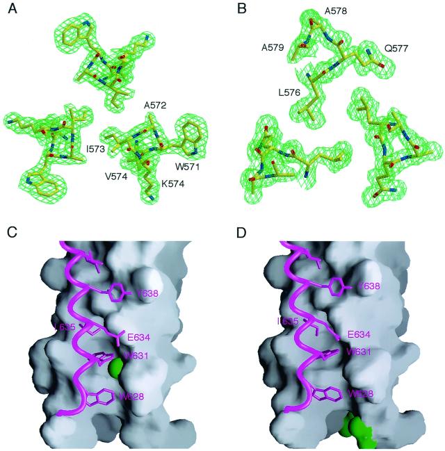 FIG. 7