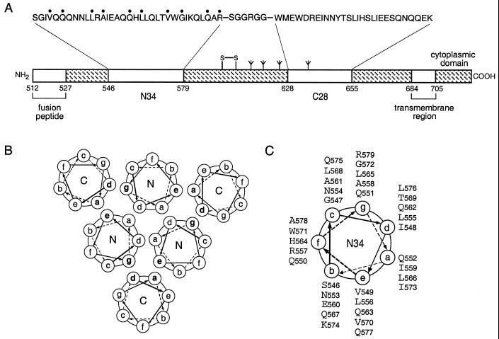 FIG. 1