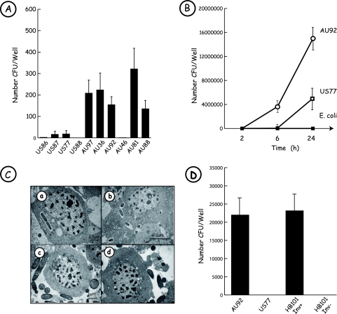 FIG. 1.