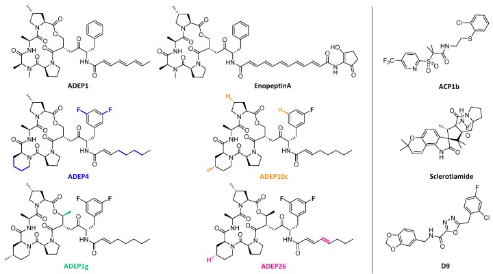 Figure 5