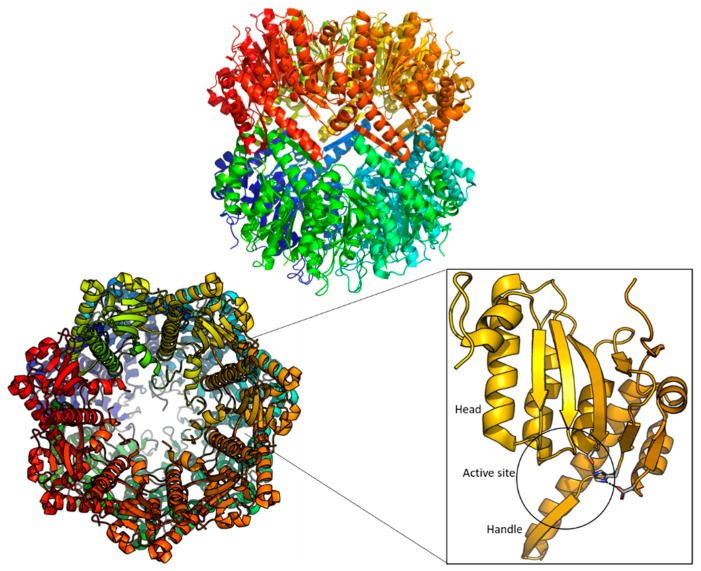 Figure 2