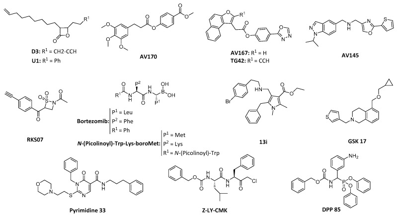 Figure 7