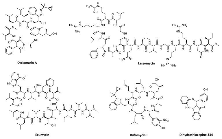 Figure 6