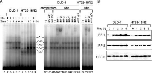 FIG. 5.