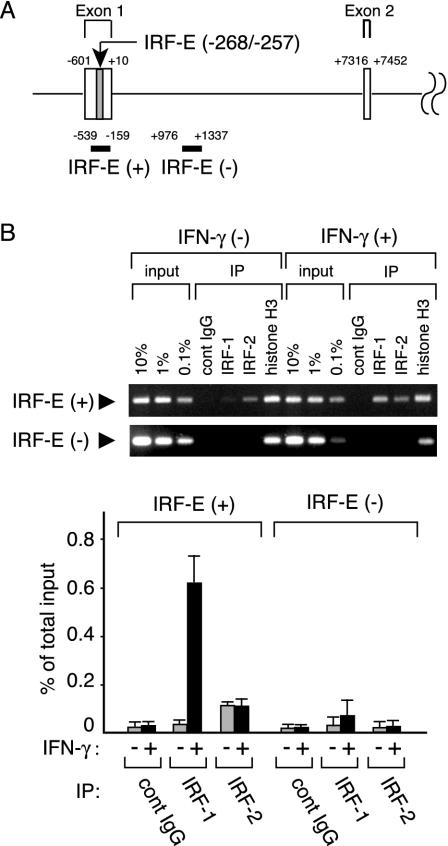 FIG. 8.