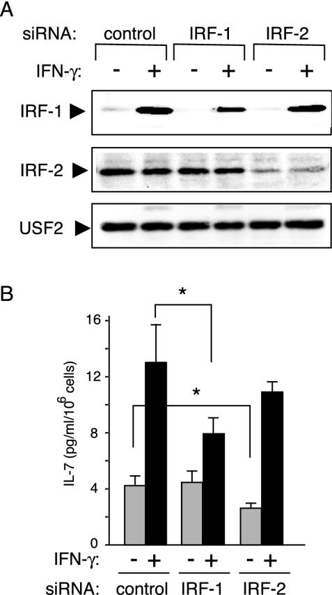 FIG. 7.