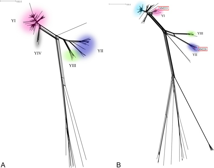 FIG 2