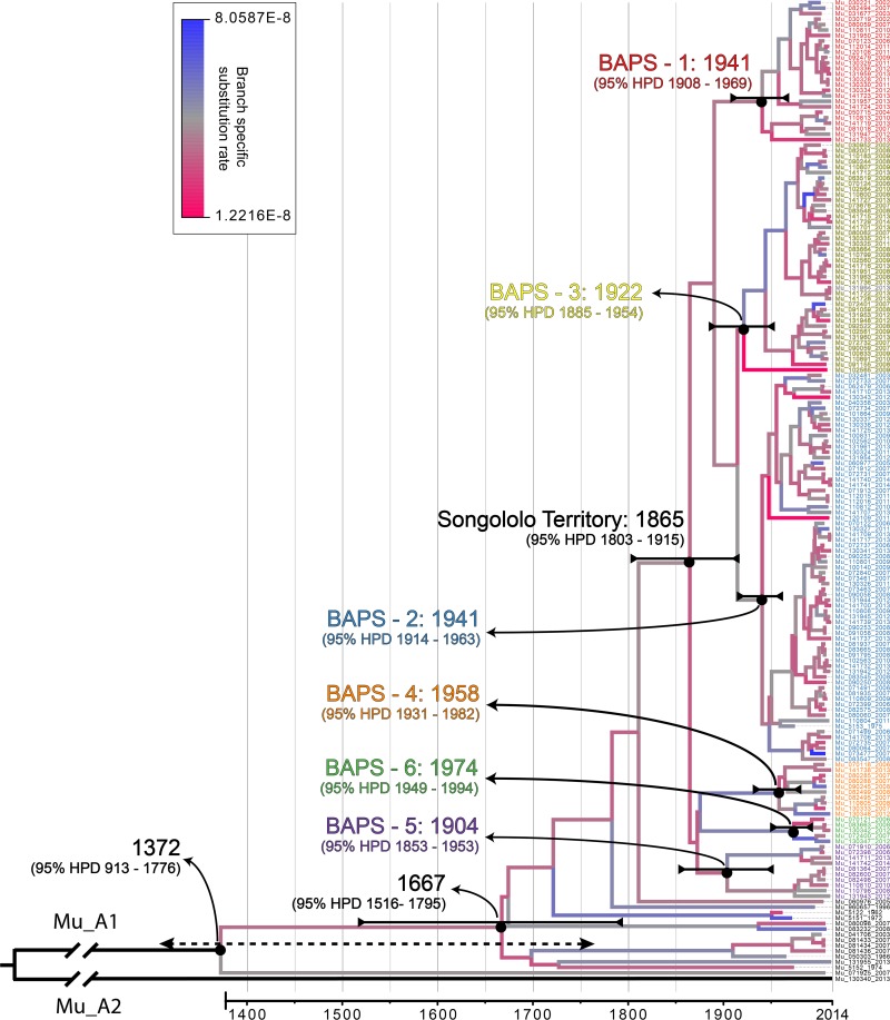 FIG 1