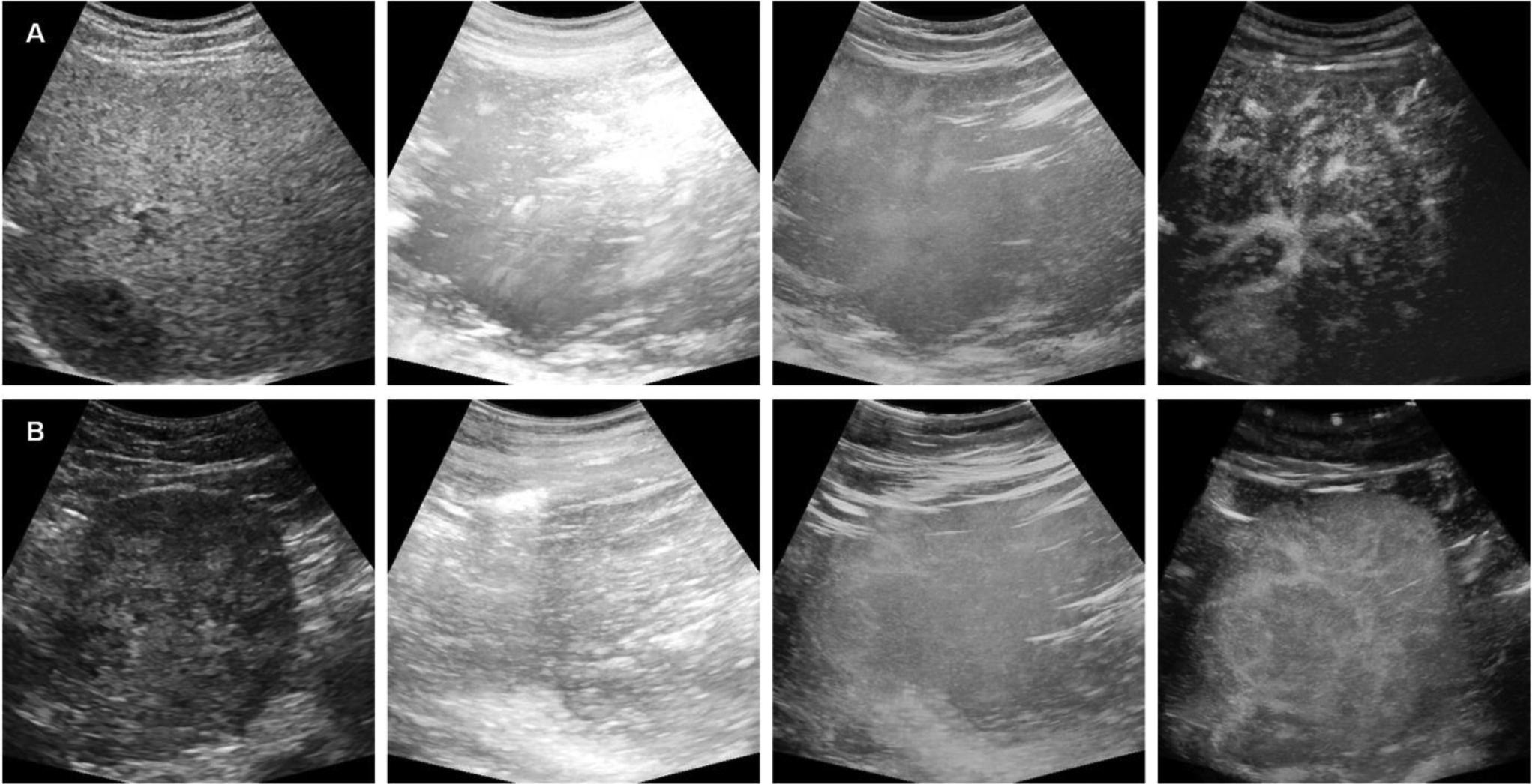 Figure 3: