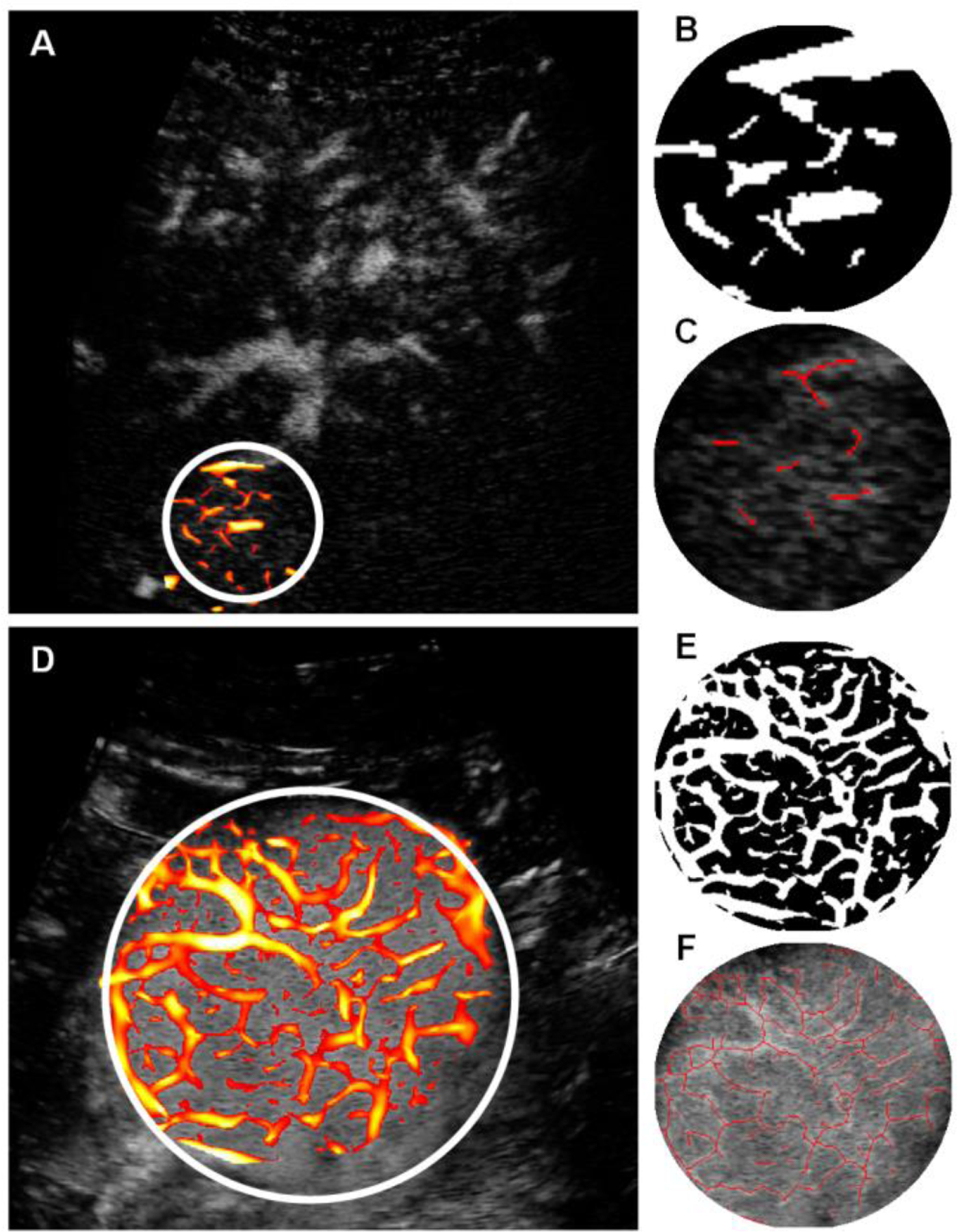 Figure 5: