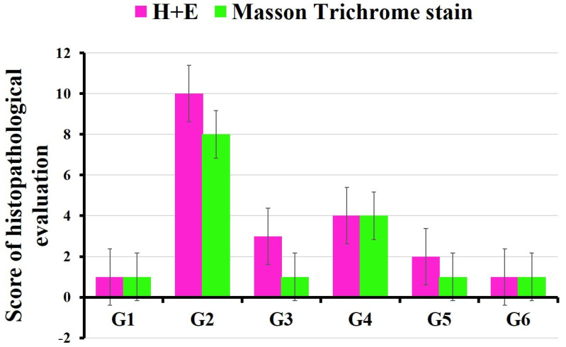 Figure 13