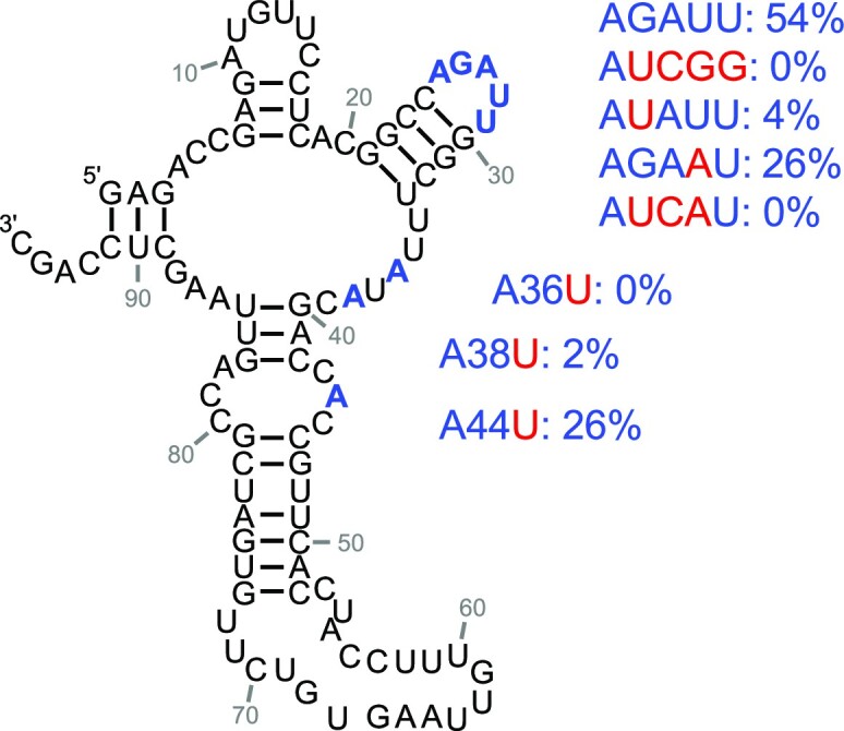 Figure 7.