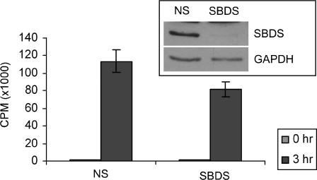 Figure 3.